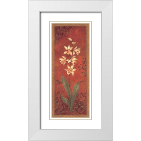 Cymbidium White Modern Wood Framed Art Print with Double Matting by Gladding, Pamela