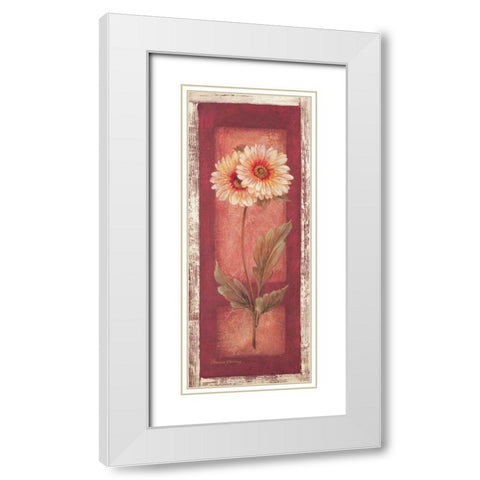 Red Door Gaillardia White Modern Wood Framed Art Print with Double Matting by Gladding, Pamela