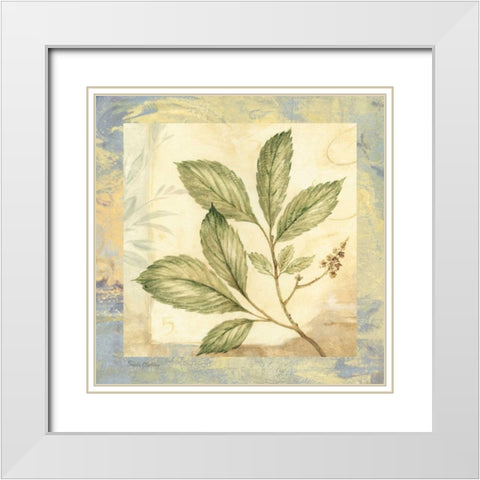 Leaf Botanicals II White Modern Wood Framed Art Print with Double Matting by Gladding, Pamela