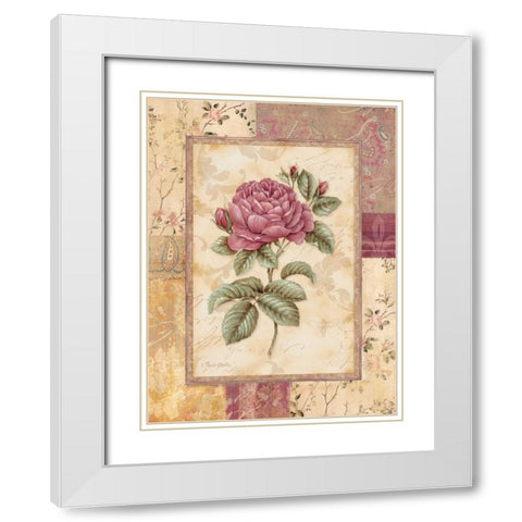 Provence Rose I White Modern Wood Framed Art Print with Double Matting by Gladding, Pamela