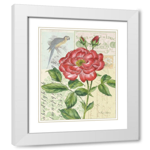 Rose Collage White Modern Wood Framed Art Print with Double Matting by Gladding, Pamela