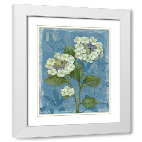 Lace Hydrangea White Modern Wood Framed Art Print with Double Matting by Gladding, Pamela