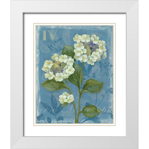 Lace Hydrangea White Modern Wood Framed Art Print with Double Matting by Gladding, Pamela