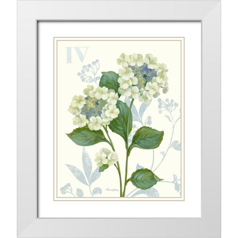 Lace Hydrangea White Modern Wood Framed Art Print with Double Matting by Gladding, Pamela