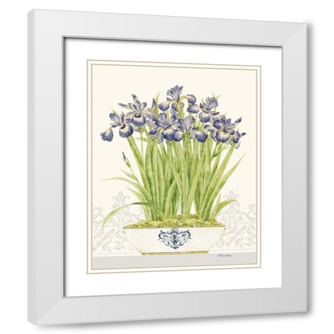 Imperial Irises White Modern Wood Framed Art Print with Double Matting by Gladding, Pamela