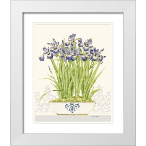 Imperial Irises White Modern Wood Framed Art Print with Double Matting by Gladding, Pamela