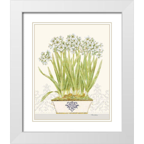 Imperial Narcissus White Modern Wood Framed Art Print with Double Matting by Gladding, Pamela