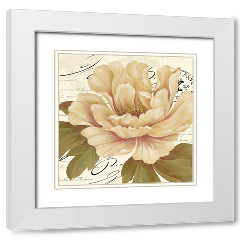 Elegant Poppy II White Modern Wood Framed Art Print with Double Matting by Gladding, Pamela