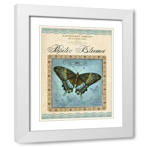 Papilio Blumei White Modern Wood Framed Art Print with Double Matting by Gorham, Gregory