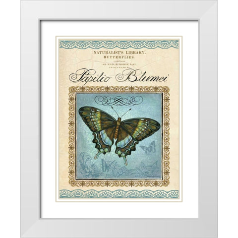 Papilio Blumei White Modern Wood Framed Art Print with Double Matting by Gorham, Gregory