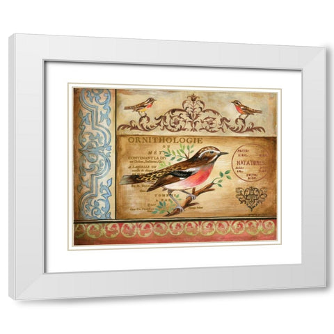 Ornithology White Modern Wood Framed Art Print with Double Matting by Gorham, Gregory