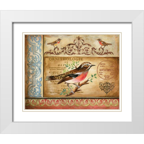 Ornithology White Modern Wood Framed Art Print with Double Matting by Gorham, Gregory