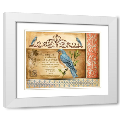 Botanique White Modern Wood Framed Art Print with Double Matting by Gorham, Gregory