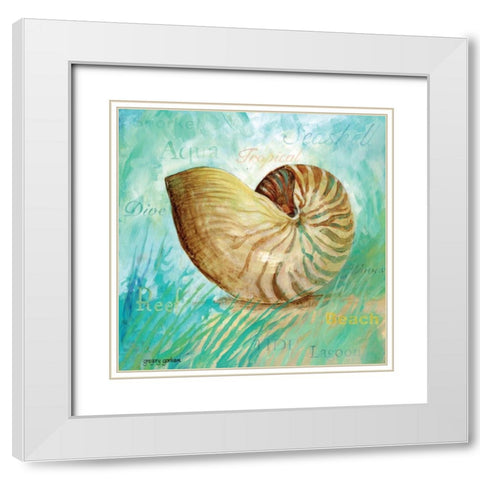 Marine Life Motif IV White Modern Wood Framed Art Print with Double Matting by Gorham, Gregory