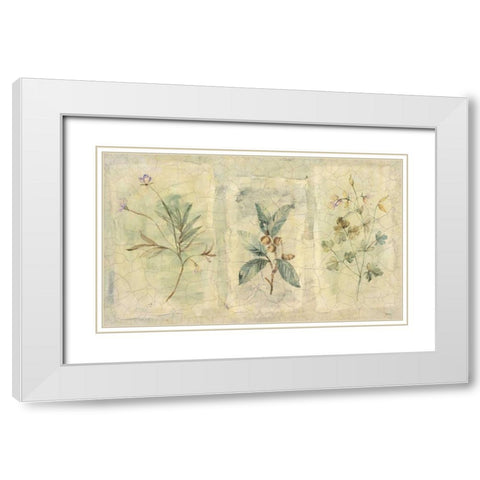 Crackle Sprigs I White Modern Wood Framed Art Print with Double Matting by Hargittai, Paul