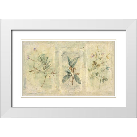 Crackle Sprigs I White Modern Wood Framed Art Print with Double Matting by Hargittai, Paul
