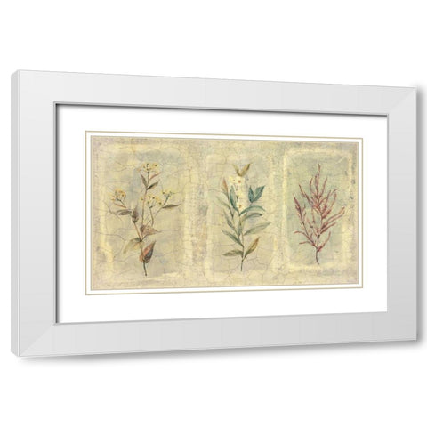 Crackle Sprigs II White Modern Wood Framed Art Print with Double Matting by Hargittai, Paul