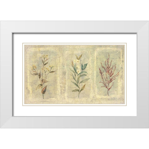 Crackle Sprigs II White Modern Wood Framed Art Print with Double Matting by Hargittai, Paul