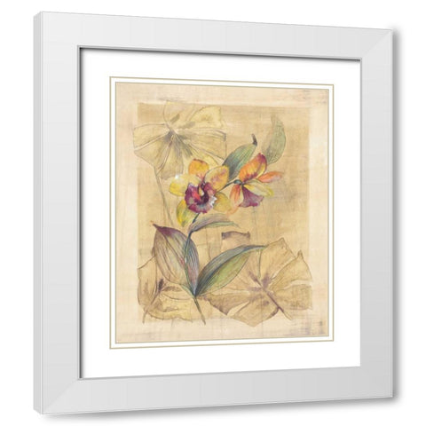 Bahama Breeze I White Modern Wood Framed Art Print with Double Matting by Hargittai, Paul
