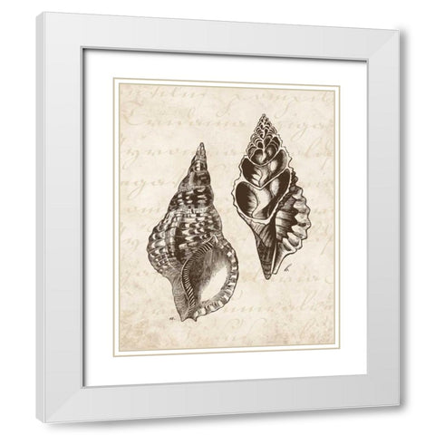 Elegant Shells I - mini White Modern Wood Framed Art Print with Double Matting by Harbick, N