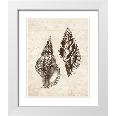 Elegant Shells I - mini White Modern Wood Framed Art Print with Double Matting by Harbick, N