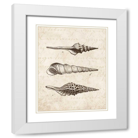 Elegant Shells II - mini White Modern Wood Framed Art Print with Double Matting by Harbick, N
