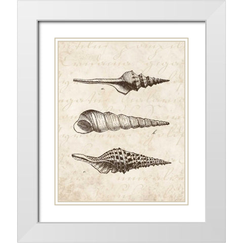 Elegant Shells II - mini White Modern Wood Framed Art Print with Double Matting by Harbick, N