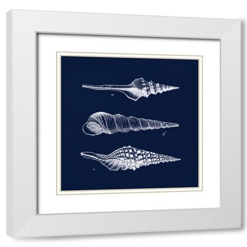 Shell Negative II White Modern Wood Framed Art Print with Double Matting by Harbick, N
