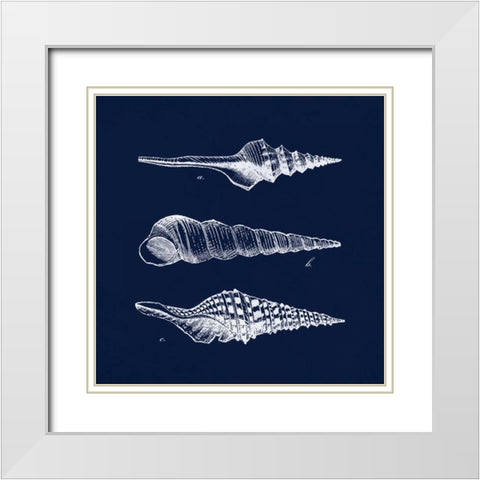 Shell Negative II White Modern Wood Framed Art Print with Double Matting by Harbick, N