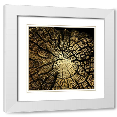 Gold Wood II White Modern Wood Framed Art Print with Double Matting by Harbick, N.