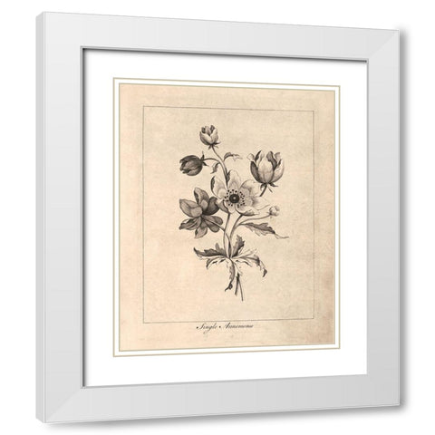 Vintage Anemones White Modern Wood Framed Art Print with Double Matting by Harbick, N.