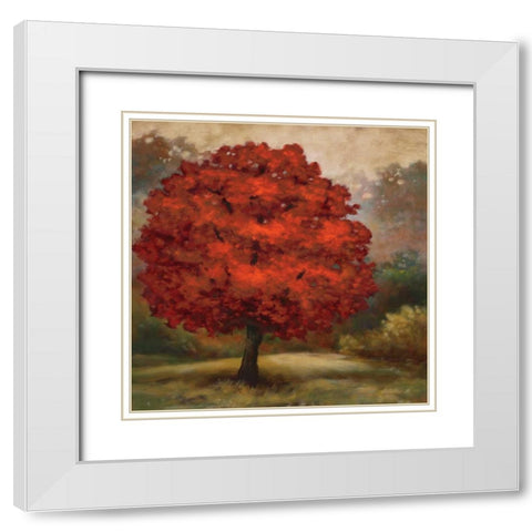 Tree Cast I White Modern Wood Framed Art Print with Double Matting by Lee, Scott