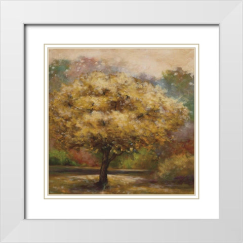 Tree Cast IV White Modern Wood Framed Art Print with Double Matting by Lee, Scott