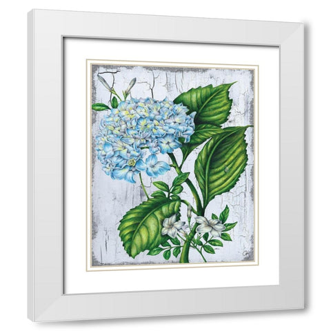 Hydranngea White Modern Wood Framed Art Print with Double Matting by K, Onna