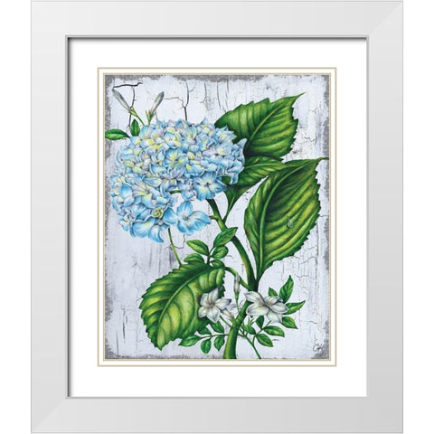 Hydranngea White Modern Wood Framed Art Print with Double Matting by K, Onna