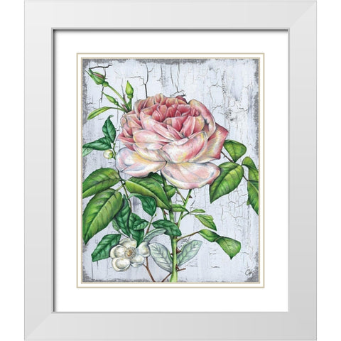Rose White Modern Wood Framed Art Print with Double Matting by K, Onna