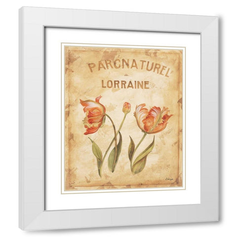 Parcnaturel III White Modern Wood Framed Art Print with Double Matting by Linza, Loretta