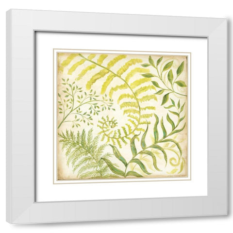 Fern Botanical I White Modern Wood Framed Art Print with Double Matting by McRostie, Kate