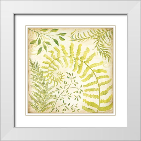 Fern Botanical II White Modern Wood Framed Art Print with Double Matting by McRostie, Kate