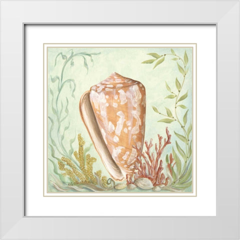 Seashells and Coral IV White Modern Wood Framed Art Print with Double Matting by McRostie, Kate