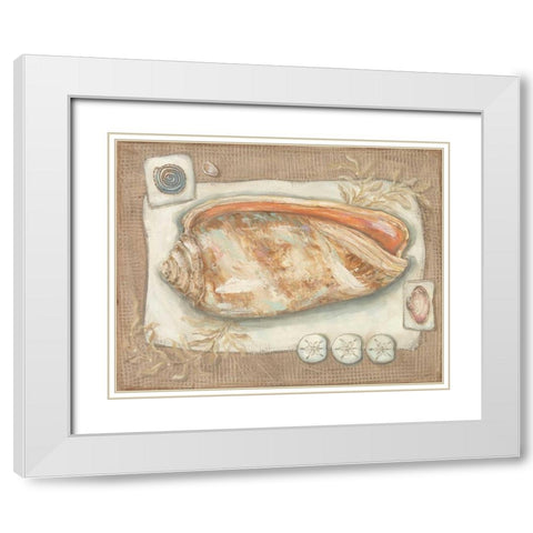 Sandy Shells I White Modern Wood Framed Art Print with Double Matting by McRostie, Kate