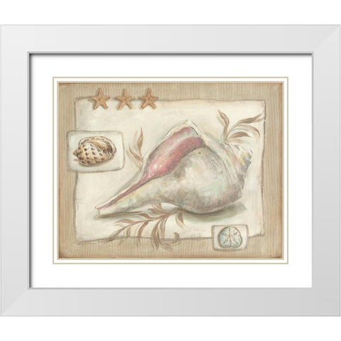 Sandy Shells II White Modern Wood Framed Art Print with Double Matting by McRostie, Kate