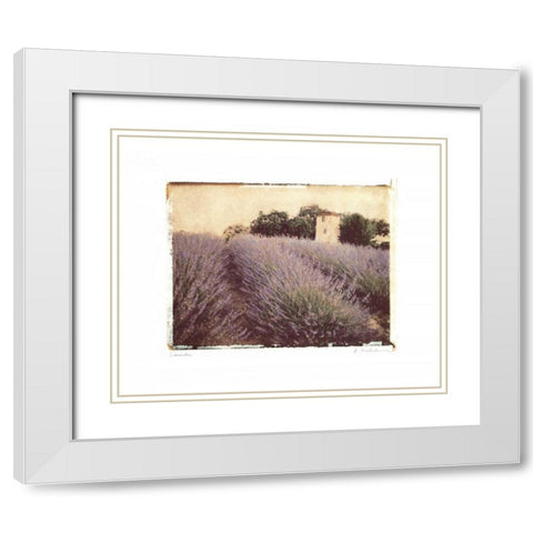 Lavender White Modern Wood Framed Art Print with Double Matting by Melious, Amy