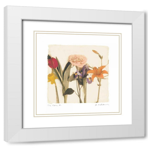 Tre Fiori IV White Modern Wood Framed Art Print with Double Matting by Melious, Amy