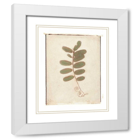 Tendril White Modern Wood Framed Art Print with Double Matting by Melious, Amy