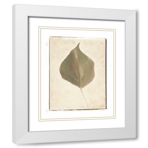 Single Leaf White Modern Wood Framed Art Print with Double Matting by Melious, Amy