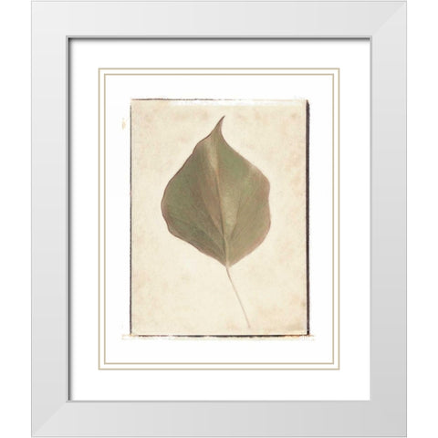 Single Leaf White Modern Wood Framed Art Print with Double Matting by Melious, Amy