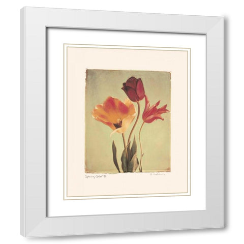 Spring Color III White Modern Wood Framed Art Print with Double Matting by Melious, Amy