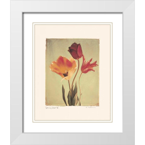 Spring Color III White Modern Wood Framed Art Print with Double Matting by Melious, Amy