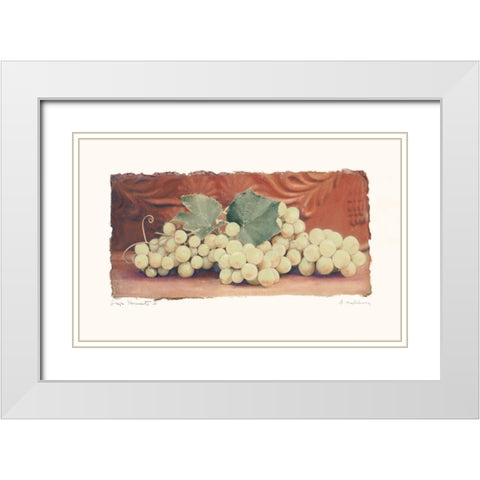 Grape Harvest II White Modern Wood Framed Art Print with Double Matting by Melious, Amy